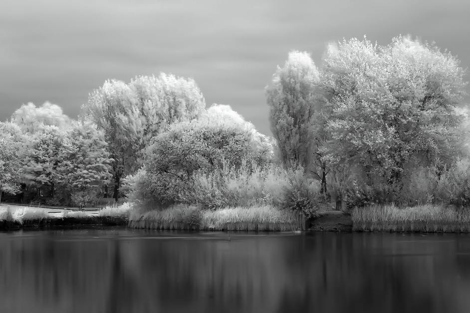 Fairlands lakes.jpg